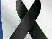 Tribune d'Elsa "Attentats Paris oui, faut service républicain universel&amp;quot;