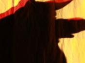 Virginia Wolf, Compagnie Rousse