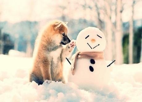 Découverte de la Semaine #3 Découverte de la Semaine #3