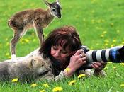 photos rencontres entre photographes animaux