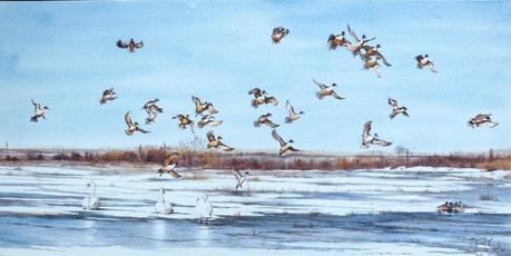 Afficher l'image d'origine