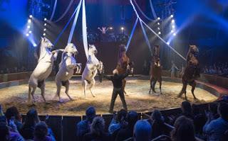 Quelques idées de sorties en attendant Noël !