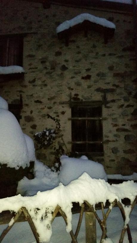 La chronique d’Elisa : Des bolosses et des buses La chronique d’Elisa : Des bolosses et des buses