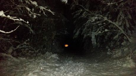 La chronique d’Elisa : Des bolosses et des buses La chronique d’Elisa : Des bolosses et des buses