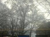 Quand science prévoyait monde