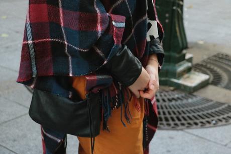 aux couleurs de l'hiver 301115 4