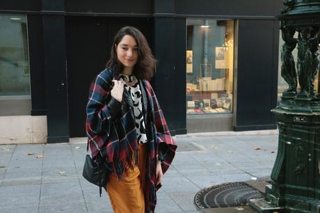 aux couleurs de l'hiver 301115 3