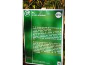 Adieu héron, aigrette, martin-pêcheur cormoran