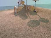 Biennale d’art contemporain Lyon 2015