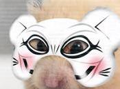 ANIMOnymous prennent parole