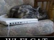 Écologie positive bonnes ondes