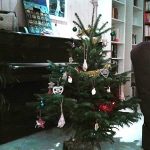 Cold December Night sapin