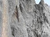 Vidéo: Beat Kammerlander dans Projekt Kampfzone