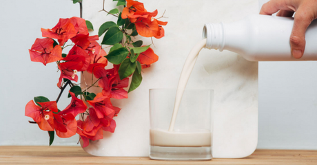 Boire ses repas, le nouveau régime liquide ! 