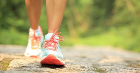 COP21 : 1000 calories dépensées = 1 arbre planté 