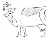 dessin vache