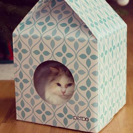 Milk Cartons : des abris pour chats !