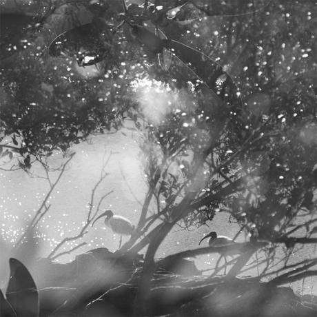 Who are you Room40? Who are you Room40?