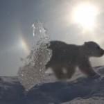 Comment calmer les pleurs de bébé