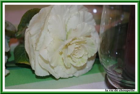 table choux d'ornement-687