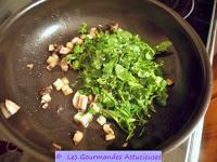Tartines au champignon, mouron, roquette et noix (Vegan)