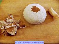 Tartines au champignon, mouron, roquette et noix (Vegan)
