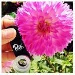 Récap. bons plans de la semaine #18 (Yankee Candle, Benefit…) Récap. bons plans de la semaine #18 (Yankee Candle, Benefit…)