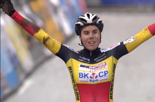 Druivencross : Présentation