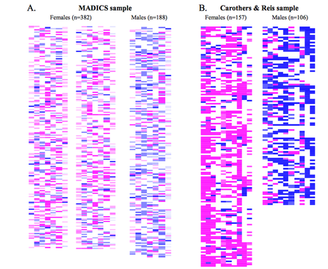 Représentation en couleurs de la mosaïque du cerveau humain; le rose représente un caractère féminin, le bleu correspond au masculin et le blanc à un caractère intermédiaire; chaque ligne correspond à un individu. © PNAS