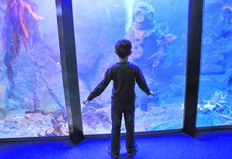 Aquarium St Malo