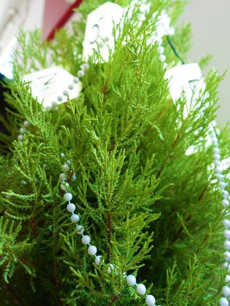 « Xmas Tree » : donner du style à son sapin Sapin