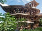 promenade maisons bambou Elora Hardy