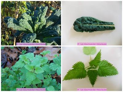 Médaillons de Polenta accompagnés de Chou aux orties et de lentilles (Vegan)
