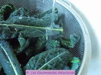 Médaillons de Polenta accompagnés de Chou aux orties et de lentilles (Vegan)