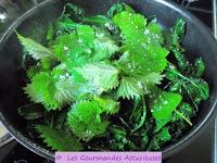 Médaillons de Polenta accompagnés de Chou aux orties et de lentilles (Vegan)