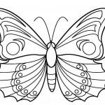 dessin de papillon