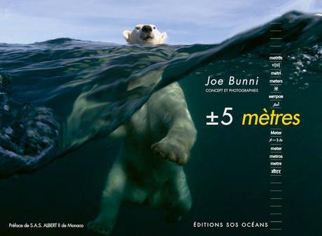 [Podcast #33] Préserver et photographier les océans avec Joe Bunni