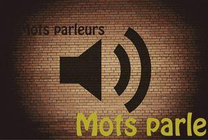 Mots parleurs du mardi 8 décembre 2015