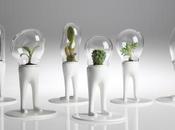 Design Domsai Matteo Cibic