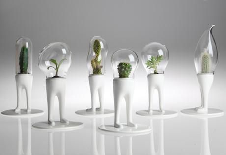 Domsai by Matteo Cibic 