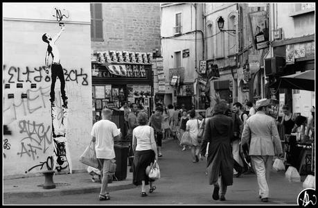 « Palissades » avec Al Sticking à Lodève