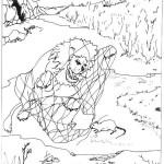 illustration de jean de la fontaine le lion et le rat