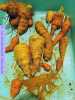 Gratin de carottes et écrasée de pommes de terre au tahin, aux échalotes confites (Vegan)