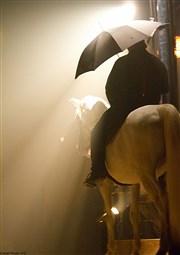 Les chevaux du Cirque Pagnozoo nous emmènent à l'Espace Cirque d'Antony (92)