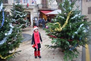 12291279_10204290498496237_2614758116778110238_o