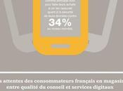 Infographie nouveaux cyberacheteurs France 2015