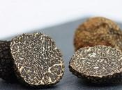 Découverte truffes Maison Baumont