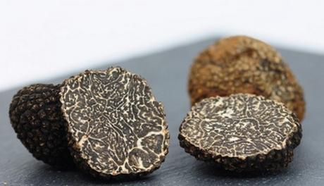 Découverte des truffes Maison Baumont Découverte des truffes Maison Baumont