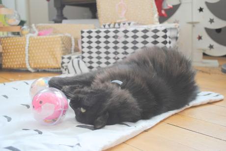 Les petits moments de L'Avent.