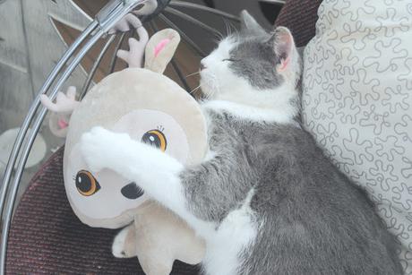 Les petits moments de L'Avent.